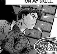 Peter Parker / Spider-man